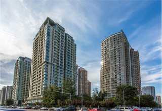 深圳过年彩灯灯会