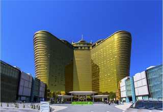 滨湖区便宜办公室绿化质量推荐